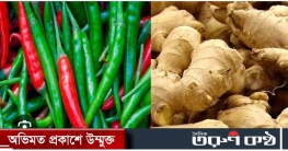 আদা কাঁচা মরিচের ঝাঁজে এ সপ্তাহের বাজার