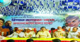 গলাচিপার চর কাজলে হাসান মামুনের জনসভায় জনস্রোত