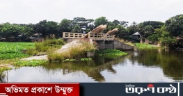 দুপাশে নেই রাস্তা, কোটি টাকার তিনটি সেতু দিগম্বর হয়ে দাঁড়িয়ে