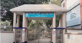 মান্দায় নকলমুক্ত পরিবেশে ডিগ্রী পাস ও সার্টিফিকেট