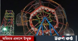 নাগরদোলা থেকে ছিটকে পড়ে শিশুসহ আহত ৩