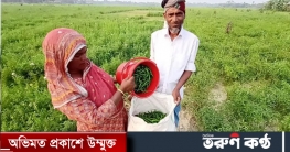 ইউরোপে যাবে গোসাইরহাটের কাঁচা মরিচ
