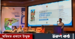 করোনার সময় কর্মসংস্থান বেড়েছে : পরিকল্পনা প্রতিমন্ত্রী