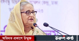 আমরা চাই দেশের সব অনিয়ম দূর হোক: প্রধানমন্ত্রী
