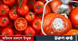 টমেটো দ্রুত পচে যায়? যেভাবে সংরক্ষণ করবেন