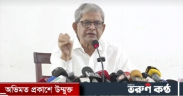 নির্বাচন কমিশনের সঙ্গে আলোচনা ফলপ্রসূ হবে না : মির্জা ফখরুল
