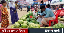 তরমুজ চাষির লাভের গুড় পিপড়ায় খায়