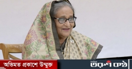 শিশুদের কাছে প্রকৃত ইতিহাস তুলে ধরার তাগিদ প্রধানমন্ত্রীর শিশুদের কাছে প্রকৃত ইতিহাস তুলে ধরার তাগিদ প্রধানমন্ত্রীর