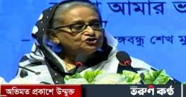 ডিজিটাল সিস্টেমে ভাষা শিখতে পারার ব্যবস্থা করে দিয়েছি