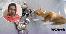 ৮ কুকুর ছানা হত্যার অভিযোগে সরকারি কর্মকর্তার স্ত্রী গ্রেপ্তার ৮ কুকুর ছানা হত্যার অভিযোগে সরকারি কর্মকর্তার স্ত্রী গ্রেপ্তার