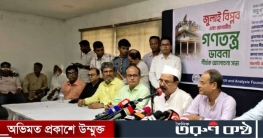 ভোট আটকে গেল কোথায়–অন্তর্বর্তী সরকারকে গয়েশ্বরের তির্যক প্রশ্ন