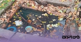 তিতুমীর কলেজে ডেঙ্গু মশার উপদ্রব, অতিষ্ঠ শিক্ষার্থীরা তিতুমীর কলেজে ডেঙ্গু মশার উপদ্রব, অতিষ্ঠ শিক্ষার্থীরা