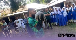 অতি বিপন্ন বনরুই ঘিরে আশার আলো অতি বিপন্ন বনরুই ঘিরে আশার আলো