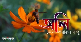 অলি - সাজেদা পারভিন সাজু