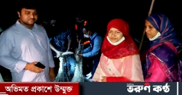 হেলিকপ্টার নিয়ে পদ্মায় অভিযান, বিপুল পরিমান ইলিশ জব্দ