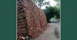 ভূঞাপুর-বঙ্গবন্ধু সেতু সড়ক দখল করে ইটের ব্যবসা