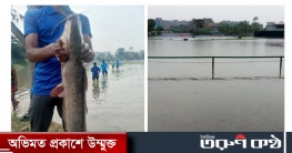 বিকেএসপির ক্রিকেট মাঠে সাড়ে ৫ কেজি ওজনের মাছ!