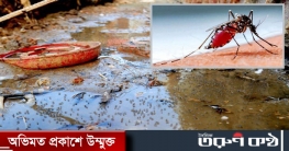 রাজধানীর যে দুই এলাকায় এডিস মশা সবচেয়ে বেশি