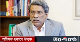 দলগুলোর ওপর কিছুই চাপিয়ে দেওয়া হচ্ছে না: আলী রীয়াজ