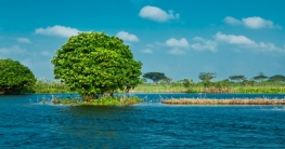 আবারও আলোচনা আড়িয়াল বিল