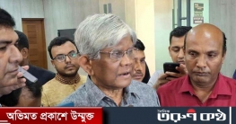 ব্যবসা মাঝে মন্থর ছিল, এখন একটু ভালো: অর্থ উপদেষ্টা