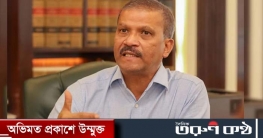 বিমানের টিকিটের মূল্যবৃদ্ধিতে সিন্ডিকেটের থাবা: আসিফ নজরুল