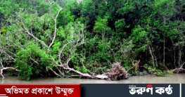 ঘূর্ণিঝড়ে সুন্দরবনে ক্ষতি ৬০ লাখ টাকা