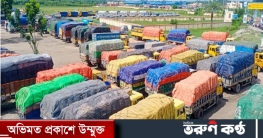 বেনাপোলে পার হওয়ার অপেক্ষায় ৯০০ পণ্যবাহী ট্রাক বেনাপোলে পার হওয়ার অপেক্ষায় ৯০০ পণ্যবাহী ট্রাক