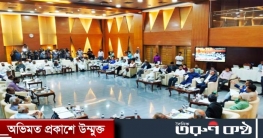 ভোটের আগেই বাস্তবায়ন হতে পারে জুলাই সনদ