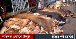 পাঁচটি প্রতিষ্ঠানকে ১ কোটি বর্গফুট চামড়া রপ্তানির অনুমতি পাঁচটি প্রতিষ্ঠানকে ১ কোটি বর্গফুট চামড়া রপ্তানির অনুমতি