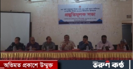 পাংশায় বঙ্গবন্ধুর জন্মবার্ষিকী ও মহান স্বাধীনতা দিবস উদযাপন