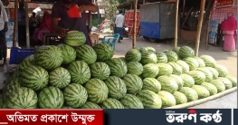 কালাইয়ে বাজারে উঠেছে রসালো তরমুজ দাম বেশি, কেজি দরে কিনছেন ক্রেতা