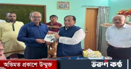 জিল্লুর রহমানের 