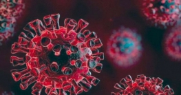 বিস্তারিতআরও ৯ জনের করোনা শনাক্ত