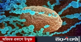 কুমিল্লাঘেঁষা ভারতীয় রাজ্যে ৫৯.৬শতাংশ করোনা ডেল্টাপ্লাসে আক্রান্ত