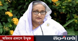 সংসদ নির্বাচনের প্রস্তুতি নেওয়ার নির্দেশ শেখ হাসিনার সংসদ নির্বাচনের প্রস্তুতি নেওয়ার নির্দেশ শেখ হাসিনার