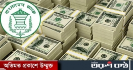 ১৩ হাজার কোটি টাকা রেমিট্যান্স এলো ২৫ দিনে ১৩ হাজার কোটি টাকা রেমিট্যান্স এলো ২৫ দিনে