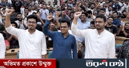 ডাকসুতে ছাত্রশিবিরের ভূমিধস জয়