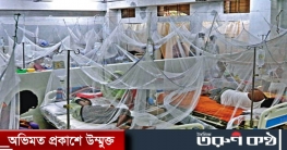 ডেঙ্গুতে আরও ২২১ রোগী হাসপাতালে ডেঙ্গুতে আরও ২২১ রোগী হাসপাতালে