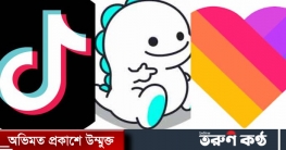 বিগো লাইভ-টিকটক-লাইকি বন্ধে হাইকোর্টে রিট