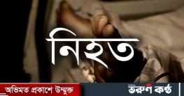 লাকসামে ভাই-বোনের বিরোধ থামাতে গিয়ে বৃদ্ধ নিহত