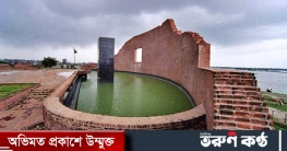 শহীদ বুদ্ধিজীবী দিবস আজ