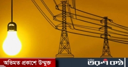 বিদ্যুতের দাম বাড়বে বিদ্যুতের দাম বাড়বে