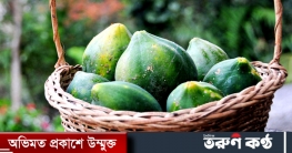 ডায়াবেটিস কিডনির সমস্যায় মুক্তি দেবে কাঁচা পেঁপে