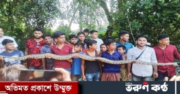 জামালপুরে ১২ হাত লম্বা অজগর মারল গ্রামবাসী