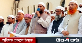 রোহিঙ্গাদের টাকাও আত্মসাৎ করেছেন হেফাজত নেতারা রোহিঙ্গাদের টাকাও আত্মসাৎ করেছেন হেফাজত নেতারা