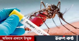 দেশে ২৪ ঘন্টায় আরও ২৬৭ ডেঙ্গু রোগী হাসপাতালে ভর্তি দেশে ২৪ ঘন্টায় আরও ২৬৭ ডেঙ্গু রোগী হাসপাতালে ভর্তি