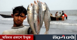 গঙ্গা থেকে মুখ ফিরিয়ে বাংলাদেশে আসছে ঝাঁকে ঝাঁকে ইলিশ