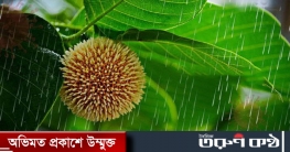 আজ আষাঢ়ের প্রথম দিন, বৃষ্টিতে বরণ আজ আষাঢ়ের প্রথম দিন, বৃষ্টিতে বরণ