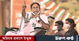 ভোট এলেই পুলিশের ব্রেন কাজ করে না - মমতা